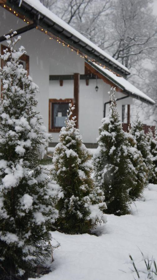 Na Szlaku - Domki Do Wynajecia Rabka Exterior foto
